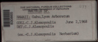 Image Associated With the Occurence